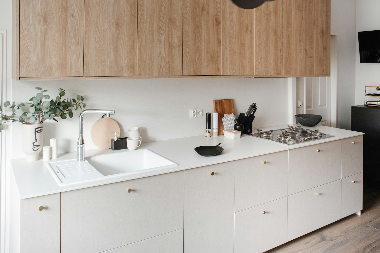 Blanco Maple miniatura 4