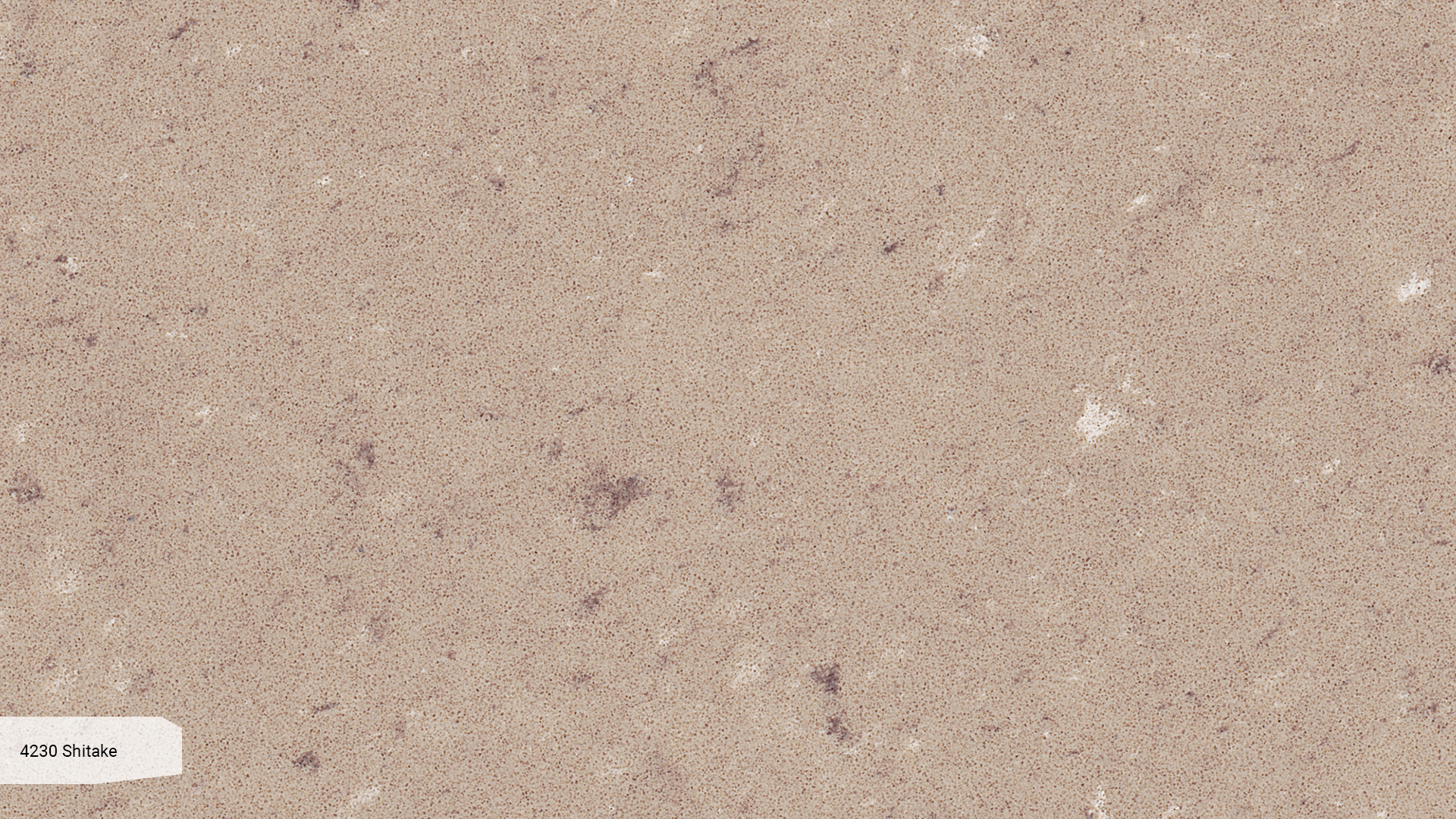 Wzór 4230 Shitake — Stoły i meble